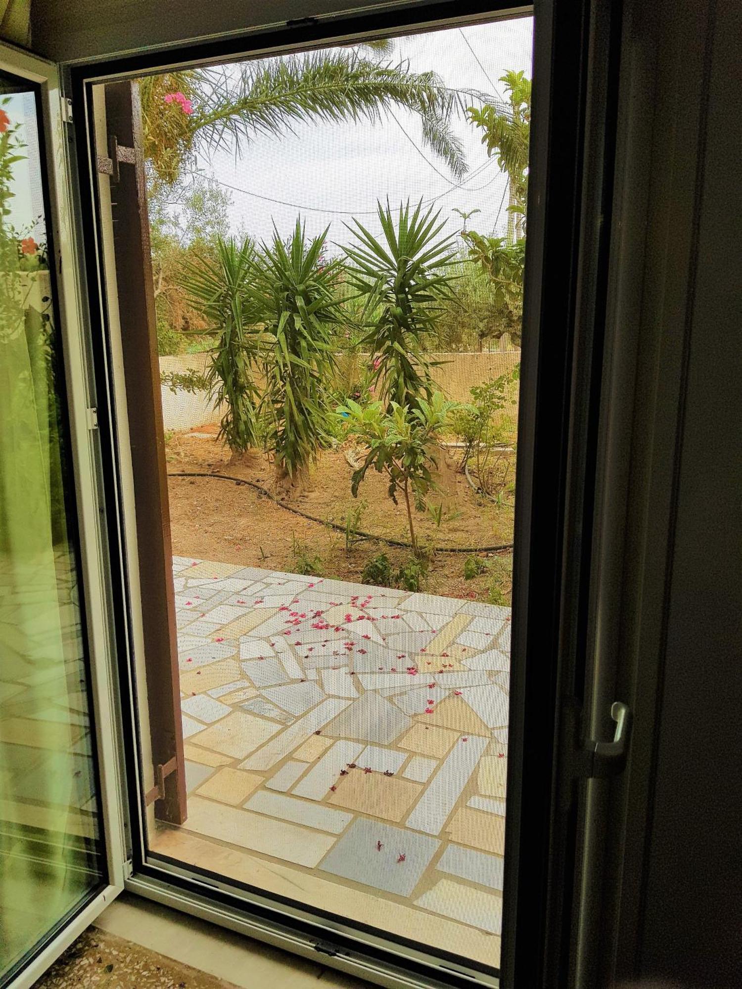 Gianna Seaside Apartment Koutsounari Exterior photo